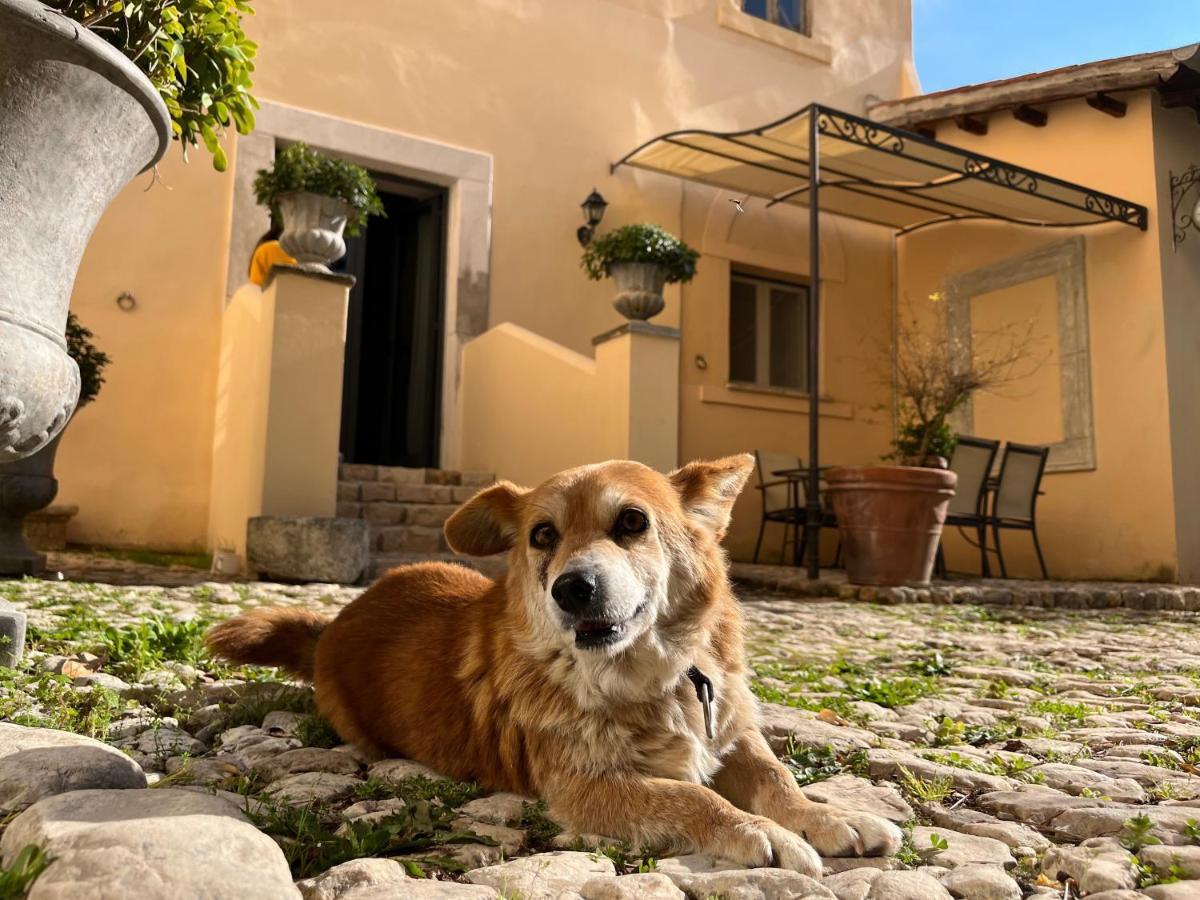 Agriturismo Castello Santa Margherita Cori Exteriör bild